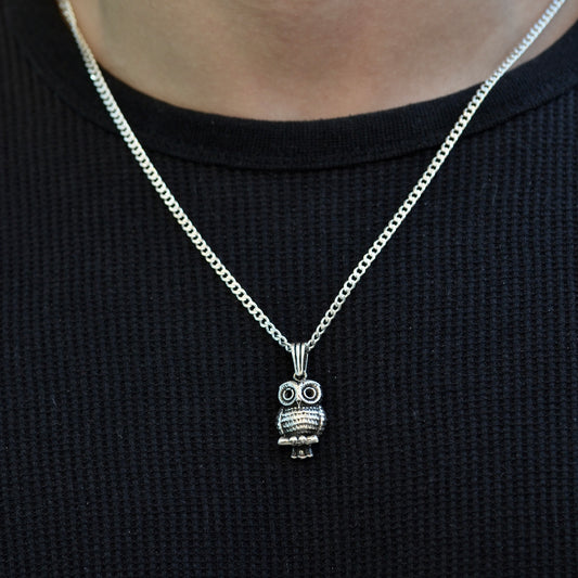 Wise Owl Silver Pendant Necklaces silver 925K